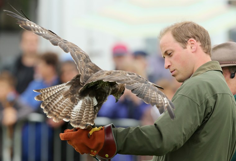 Image: Prince William, Duke Of Cambridge Visits The Anglesey Show
